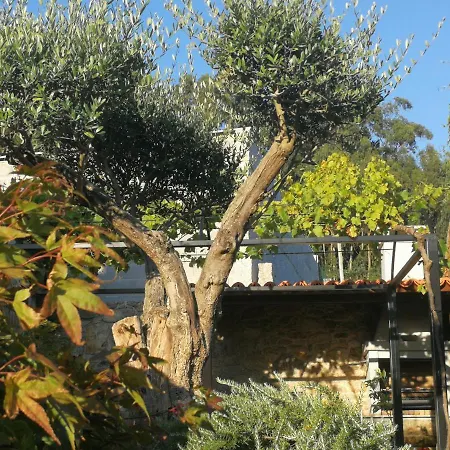 A Casa De Herminia Vakantiehuis Sanxenxo